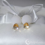 Kahepoolsed kõrvarõngad Stone double stud earrings