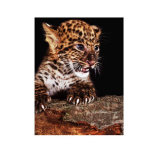 Teemanditikand / mosaiik-pilt 5d panther 40*30 cm ML