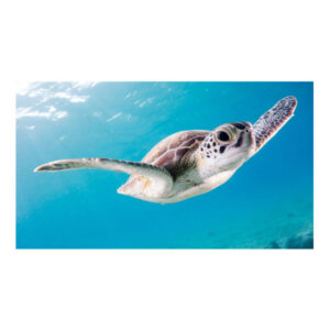 Teemanditikand / mosaiik-pilt 5d sea turtle 50*40 cm ML