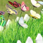 Liblikad Garden butterflies