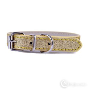 Kaelarihm Gold pet collar 2