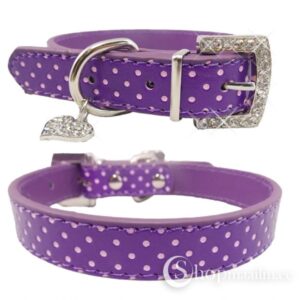 Kaelarihm Violet pet collar 2