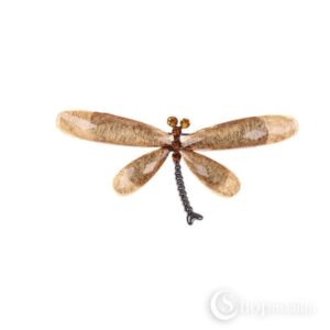 Pross Yellow dragonfly