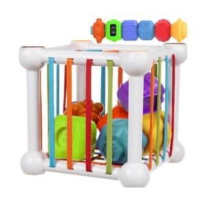 Sorteerija Sensory cube sorter