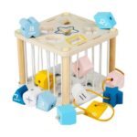 Sorteerija Sorter Sensory cube