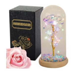 LED taustvalgustusega igavene roos Everlasting rose in glass led luminous glass box