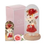 LED taustvalgustusega igavene roos kaisukaruga Everlasting rose in glass led luminous glass box with teddy