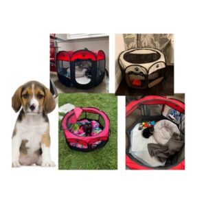 Kokkupandav lemmiklooma mänguaedik / puur – 80 x 60 cm