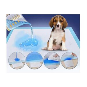 Koera pissimatid / hügieenimatid 60×60 cm (40 tk pakis)