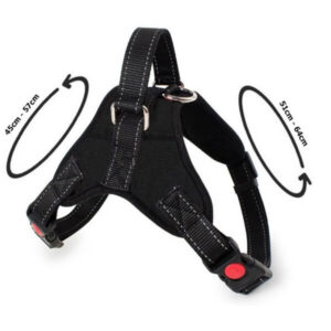Strong and comfortable dog harness – size M