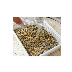 Cat grass seed mix GimCat Hydro-Grass