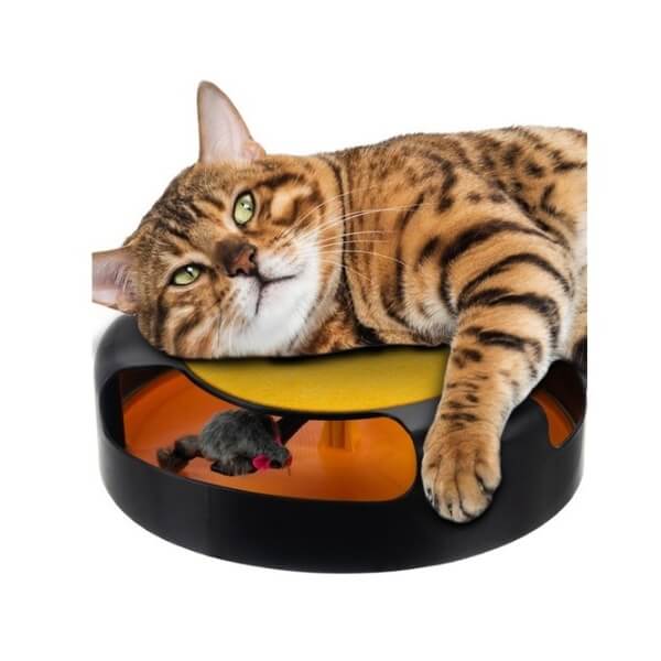 Catch the mouse 1 Kassimänguasi – ratas hiirega