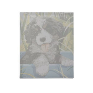 Maalimine numbrite järgi 40x30 cm – koer