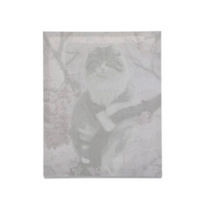 Maalimine numbrite järgi 40×50 cm - kass