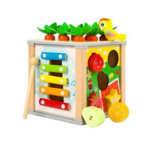 Kruzzel wooden educational play cube – sorter for children (5-in-1)