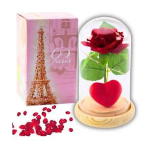 Amžinoji rožė kupole su LED apšvietimu – raudona su širdimi