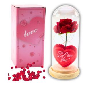 Amžinoji rožė kupole su LED apšvietimu – raudona su širdimi ir užrašu „Love“