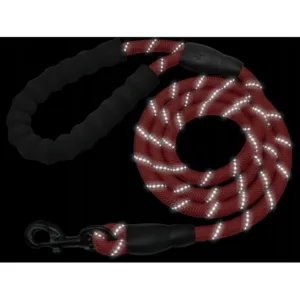 Kestävä treenitalutin koiralle pehmustetulla kahvalla ja heijastimella