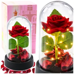 Igavene punane roos kuplis LED-valgustusega ja roosi kroonlehtedega (14 × 8 cm)